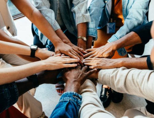 Meet our new Postdoctoral Researchers