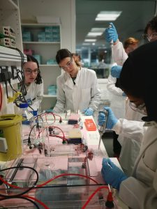 Students in workshop organised by Graeme Hewitt's Lab (Isobel Bonning, Zoe Newson, Emelie Jansson, and Ekaterina Morozova)