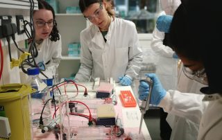 Students in workshop organised by Graeme Hewitt's Lab (Isobel Bonning, Zoe Newson, Emelie Jansson, and Ekaterina Morozova)