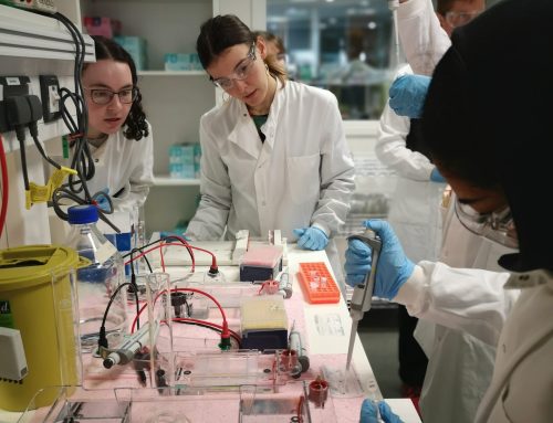 In2STEM students visit CRUK CoL RadNet labs and gain first-hand experience of cancer research