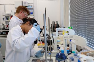 Students in workshop organised by Dr Cinzia Imberti and PhD student Zuzanna Kokoszka